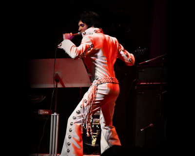 ELVIS: In Person Starring Matt Stone